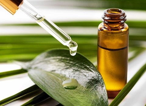 خرید روغن هسته خرما برای پوست + قیمت فروش استثنایی